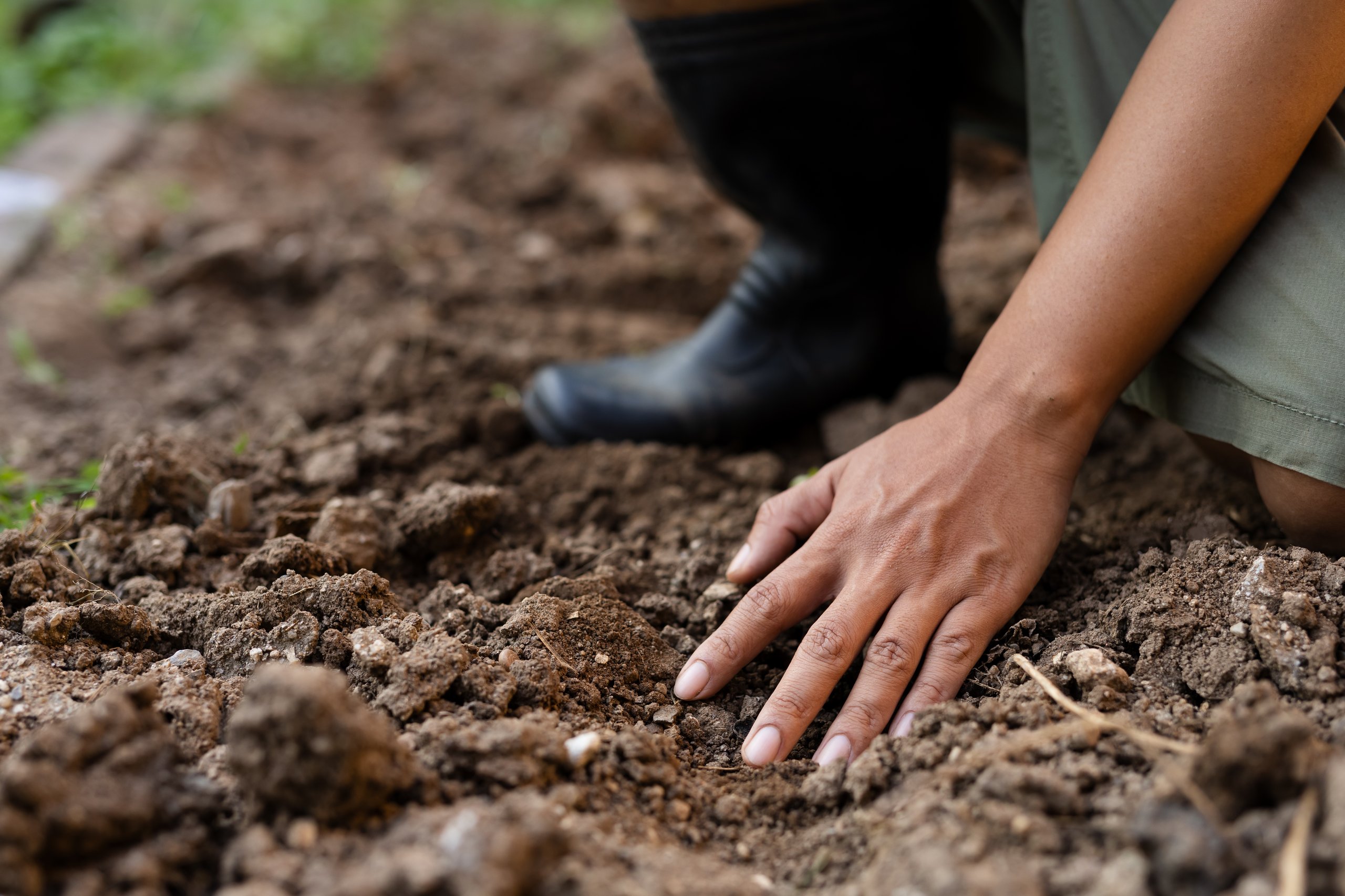 Rich Soil And Farmer Hand